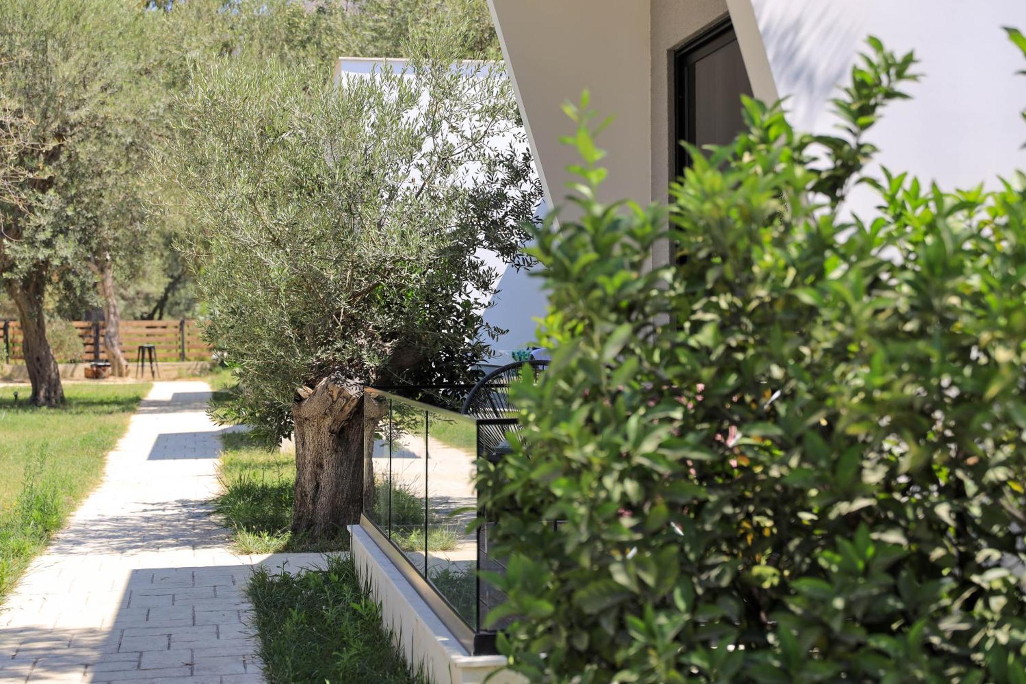 Luna Mare Seaside Suites Borsh Exterior foto